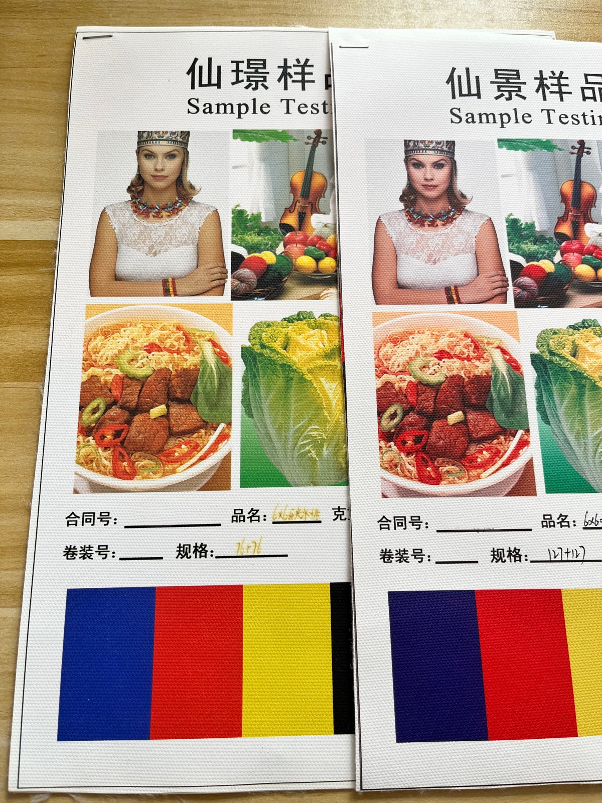 Matte aqueous canvas vs matte eco-solvent canvas print comparison