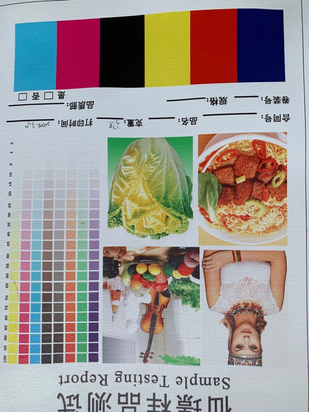 Printable canvas printing test with color patches photographs and tonal gradients