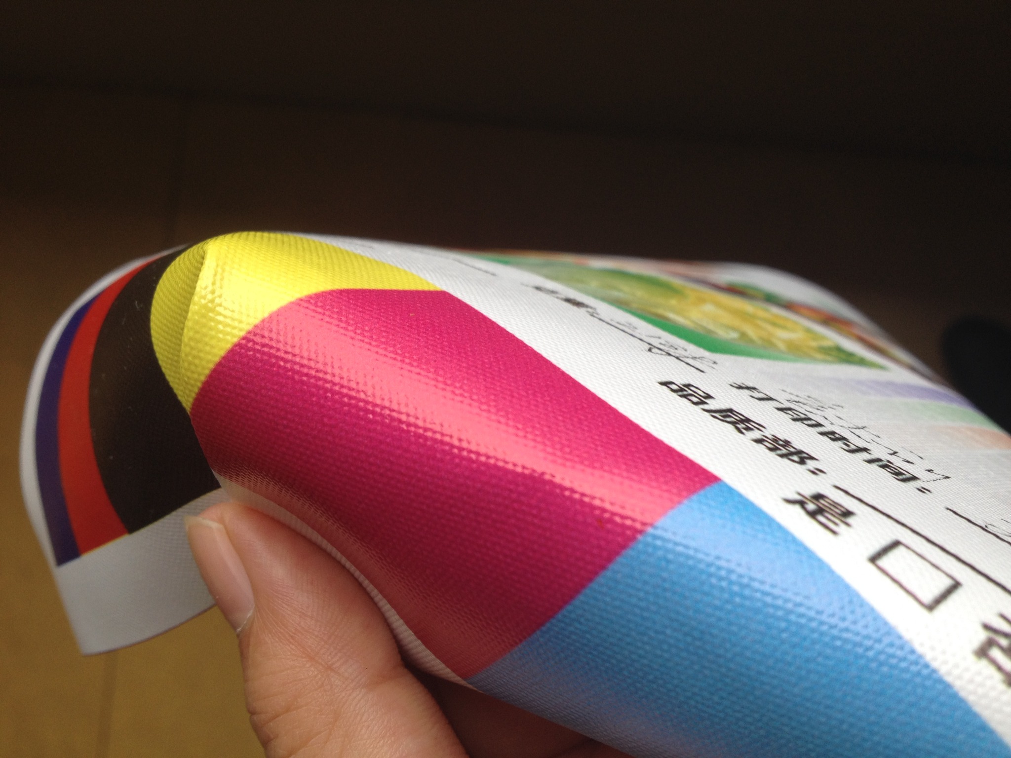 Printed canvas coating surface showing color reproduction and canvas texture