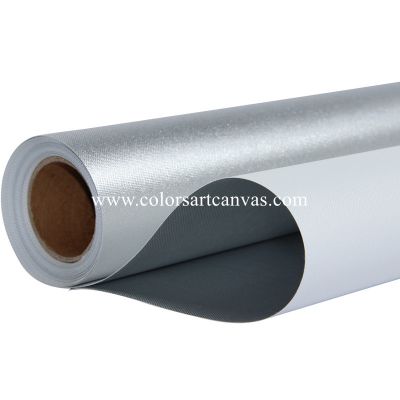 Metallic Silver Canvas