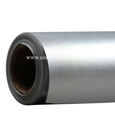 Silver Metal / Silver Canvas